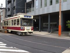 路面電車です。観光に便利でした。