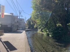 水路に沿って歩くと右手に公園が見えてきます。
「白滝公園」
木々が茂り、湧水に恵まれた長閑な公園。地元の人や観光客が散策してました。