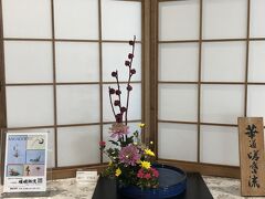 　なんて秋らしい。菊にもいろんな種類がありますね。ここのお花もコロナ禍で一時、展示していませんでしたが、再開されて、嬉しいです。空港の室内で秋を感じます。日本って四季があっていいなあと思います。