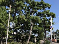 芦屋公園を歩いて北に向かいます。