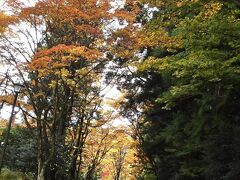 日光山内どれだけ広いのか