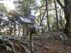 15分くらいで天城峠に到着。
トレランの方が追い抜いて仁科峠方面へ走り去りました。
