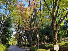 平和の森公園