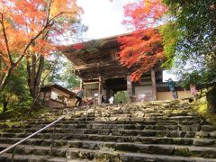 2022.11.11　金　AM9：23　神護寺
http://www.jingoji.or.jp/　　公式HP
拝観料600円　京都で一番早く紅葉が見られることで有名