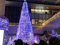 名古屋駅のクリスマスツリーイルミネーションに多くの人が集まっていました。