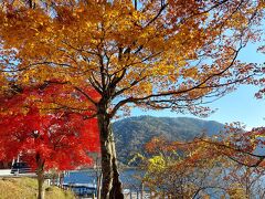 中禅寺湖畔は、まだ紅く色を付けた紅葉が残っていました

