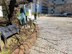 首都高の上にある築地川祝橋公園はタイル敷き