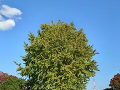 小田原フラワーガーデン

