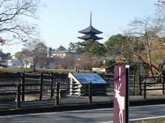 来年1月から予定されていた五重塔の修復は資材の高騰などにより延期になりました。（着工時期は未定）
ちなみに北円堂は11月末までの金・土曜日に21年ぶりの夜間特別拝観実施中です。