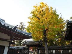 ここも紅葉の名所です。
黄葉は色づいてますが、紅葉はまだ三分の一くらいかな。