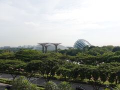 シンガポール観光の目的のひとつガーデンズ・バイザ・ベイに。