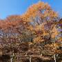 アルプス展望の信州100名山　虫倉山へ