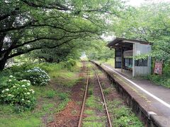 浦ノ崎駅は桜の木で覆われています。桜の花が咲く時期に来てみたいですね。