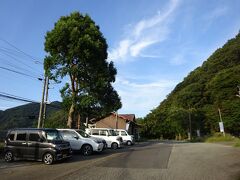 諸寄駅に戻ってきました。駅舎の横に大木があったんですね。