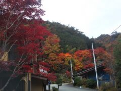 紅葉時期は昇仙峡の駐車場が早朝から満車になるという口コミから、夜中に出発して 5時頃に到着。
駐車場はほぼスカスカなものの、やはりもう何台かが停まってた。
山梨ワイン王国兼ロープウェイ駐車場に停め、明るくなってから散策開始。