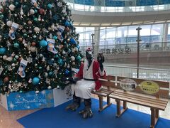 羽田空港到着。
福井の恐竜がお出迎え。
世間は既にクリスマス気分。