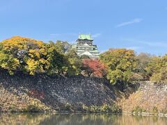 特に目的も決めず朝の散歩に出かけました。あっ大阪城だ。