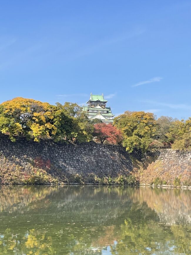 特に目的も決めず朝の散歩に出かけました。あっ大阪城だ。