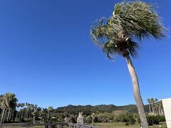 急遽、キャンプを決めたので色々グッズが足りず、館山のカインズホームとワークマンで炭やグッズを買い、食品を買い出ししてキャンプ場に12:40頃に到着。
チェックインが13時なのでバッチリです。