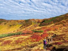 キャンプ場を過ぎて雷鳥坂分岐を過ぎるとここはヤバイ紅葉。