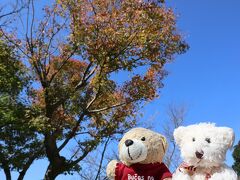 こちらは藺牟田池敷地内の駐車場の紅葉です。