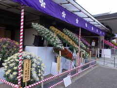 　境内では湯島天神菊まつりを開催中でした。