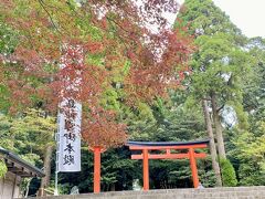 最後に霧島神宮へ

霧島温泉郷への道路は色づいていましたが

霧島神宮前や高千穂河原への道は

まだこれからという感じでした

京都に住んでいた時は

色んなところへ紅葉を愛でに出かけましたが

鹿児島でもそれなりに

楽しめる場所があるのは

嬉しいですね