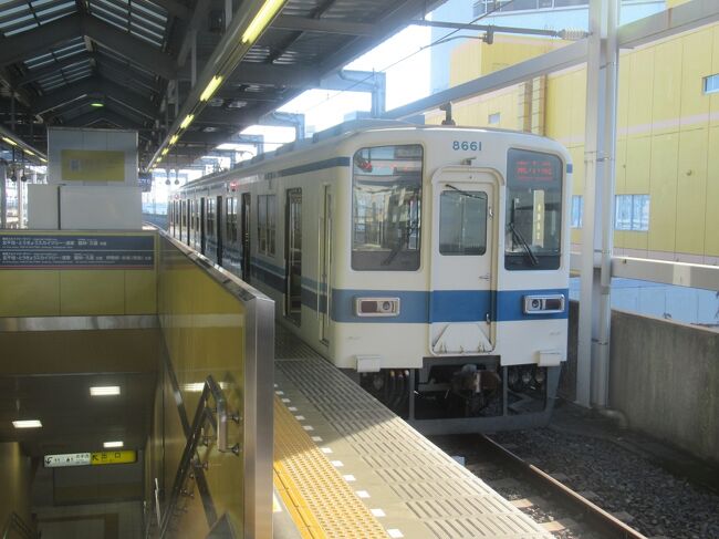 手ぬぐい わっしー トロッコ電車