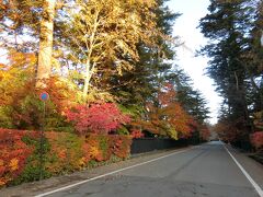 朝早くに角館の紅葉を見に行ってみます。

昨日と違って、朝早いと人が少なくていい。
