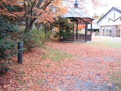 今夜の宿は東急ハーベストクラブ旧軽井沢。
軽井沢は紅葉が終わっていて散紅葉です。