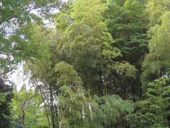 【金峰山】

梅林公園があるのは金峯山の山間

この山には竹林も多いらしい
確かに！