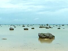 干潮の時間に佐和田の浜にきました。
遠浅の浜にゴツゴツした岩が独特な景観を見せてくれました。