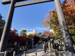 神社でお参り