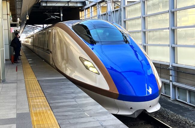 越前海岸~若狭湾 巡り』 ① 恐竜の福井 街並み散策・グリフィス