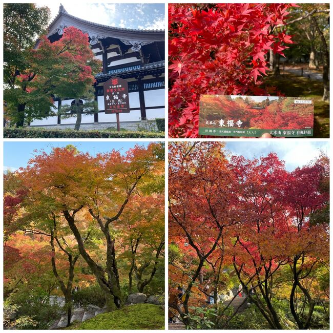 2022年11月 秋の京都 東福寺・勝林寺と陶板名画の庭』京都の旅行