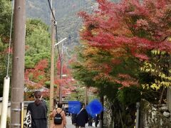 地下鉄東西線　蹴上から歩きます。レトロな疏水を右に入ると、綺麗な紅葉が。期待感あり。
しかし、修学旅行生など、何だか人が多いような。