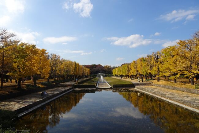 昭和記念公園 黄葉紅葉まつり 2022年』立川(東京)の旅行記