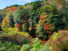 その後、
小櫃川沿いの街道、清澄養老ラインで、
紅葉スポット発見！