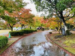 曽木の滝公園