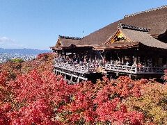 紅葉の清水寺。
清水の舞台が紅葉で飾られて素晴らしい。
奥の院まで行くとこの景色が見られます。