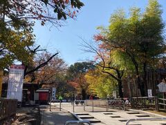 さらに歩いて、喜多院へ。
きれいに色づいてます。秋に来たのは、はじめて。