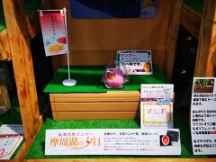 場所は変わって、道の駅摩周温泉。
摩周産のマンゴー売ってる！
2160円。