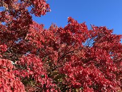 次は東山動物園へ行きました。