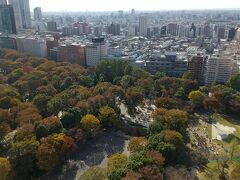 新宿中央公園も。