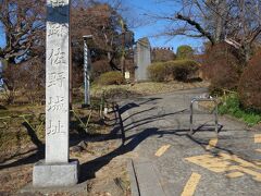 駅の構内に入ると、入場した南口の反対側が城山公園口になっていたので、城跡でもあるのかと思ってきてみたら、佐野城址の石柱が立っていました。