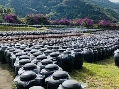 黒酢の郷 桷志田