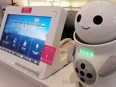 羽田空港のインフォメーション。案内の方がいらっしゃるのですがロボットくんもいました。