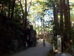 竹林の道から亀山公園へ。大河内山荘もいつか行って、綺麗だったことを覚えています。