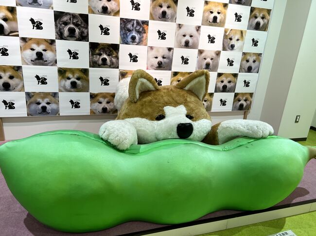 NEIGHBORHOOD DOG FISH TOY ドッグフィッシュトイ魚