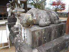 豊玉姫神社